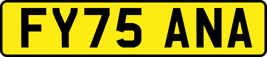 FY75ANA
