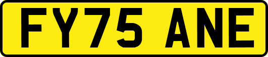 FY75ANE