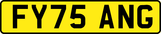 FY75ANG