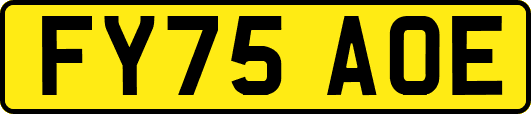 FY75AOE