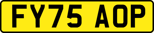 FY75AOP