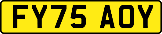 FY75AOY