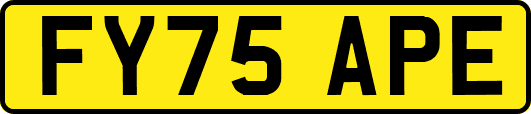 FY75APE