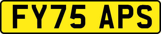 FY75APS