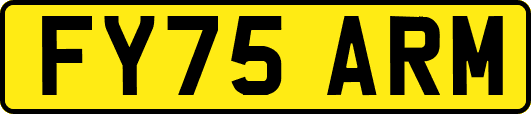 FY75ARM