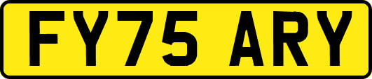 FY75ARY