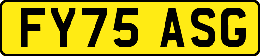 FY75ASG