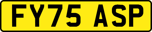 FY75ASP