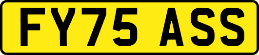 FY75ASS