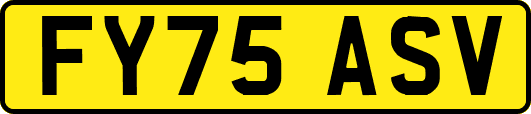 FY75ASV