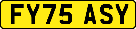 FY75ASY