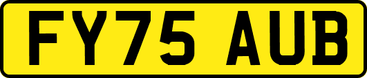 FY75AUB