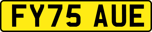 FY75AUE