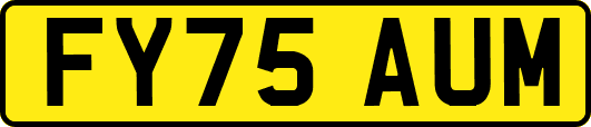 FY75AUM