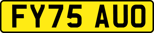 FY75AUO
