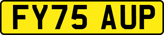 FY75AUP