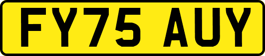 FY75AUY