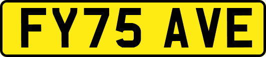 FY75AVE