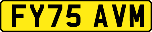 FY75AVM