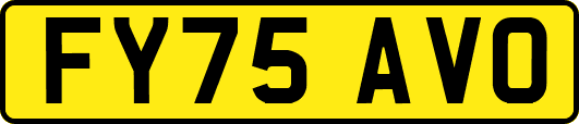 FY75AVO