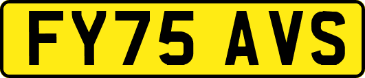 FY75AVS