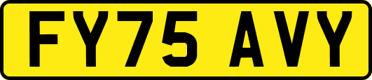 FY75AVY