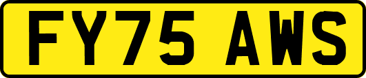 FY75AWS