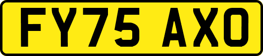 FY75AXO