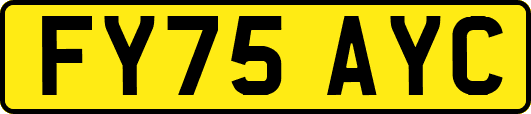 FY75AYC