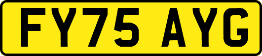 FY75AYG