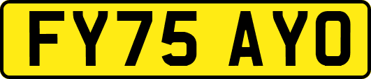 FY75AYO