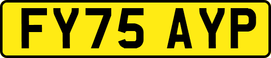 FY75AYP