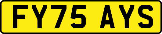 FY75AYS