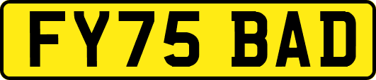 FY75BAD