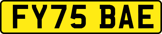 FY75BAE