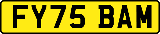 FY75BAM
