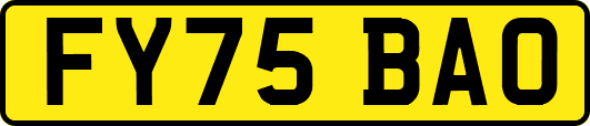 FY75BAO