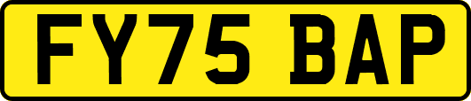 FY75BAP