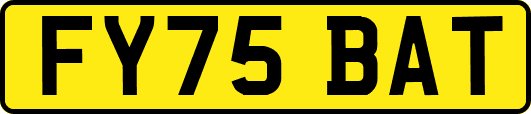 FY75BAT