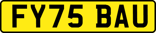 FY75BAU