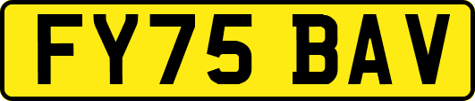 FY75BAV