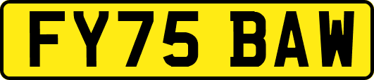 FY75BAW