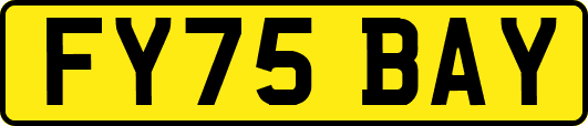 FY75BAY