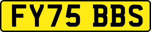 FY75BBS