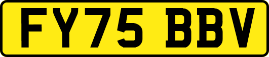FY75BBV