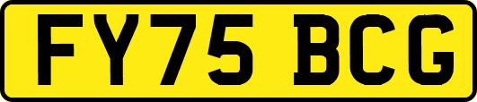FY75BCG