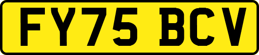 FY75BCV