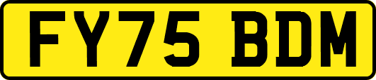FY75BDM
