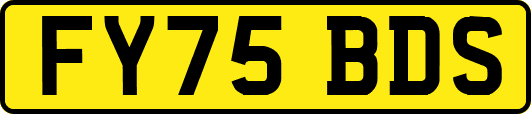 FY75BDS