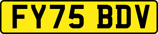 FY75BDV
